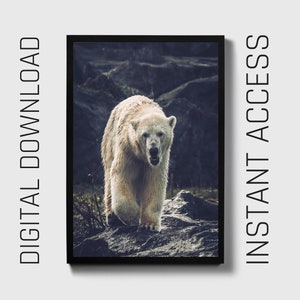 Polar Bear Printable, Digital Download arctic animal art, wildlife wall decor, digital download art, animal lover gift, snow bear photograph image 1