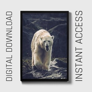 Polar Bear Printable, Digital Download arctic animal art, wildlife wall decor, digital download art, animal lover gift, snow bear photograph