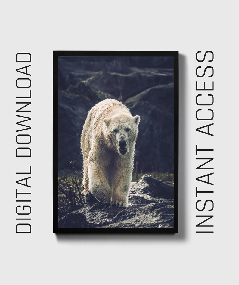 Polar Bear Printable, Digital Download arctic animal art, wildlife wall decor, digital download art, animal lover gift, snow bear photograph image 1