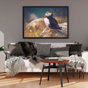 Puffin Photo Print, Puffin Snapshot, Photo Art Print, Puffin Wall Decor, Puffin Home Decor, Puffin Wall Art, Bird Photo Print, image 5