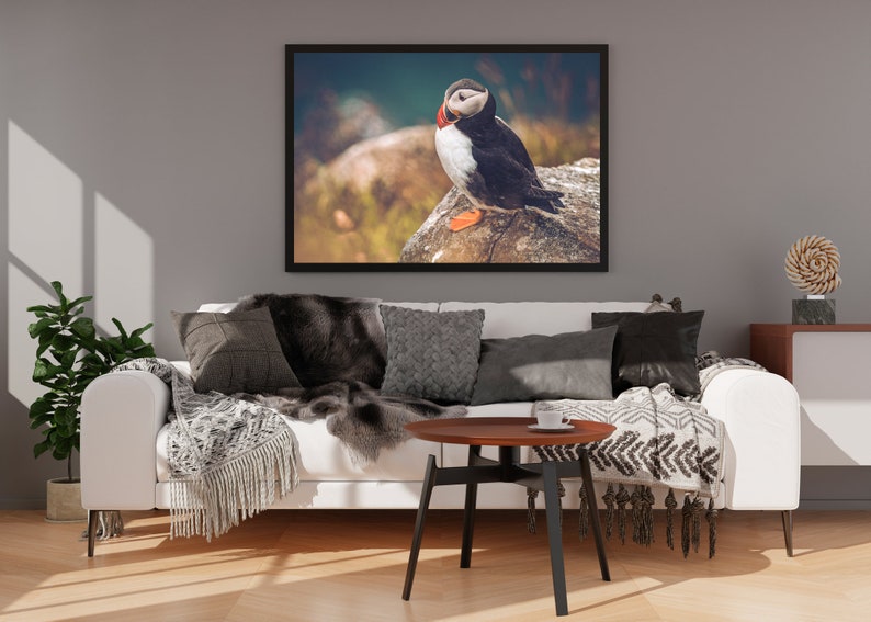 Puffin Photo Print, Puffin Snapshot, Photo Art Print, Puffin Wall Decor, Puffin Home Decor, Puffin Wall Art, Bird Photo Print, image 5