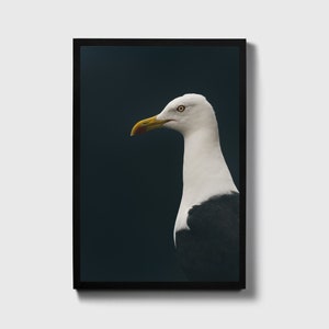 Gull Wall Art, Gull Coastal Print, Gull Ocean Print, Gull Beach Decor, Gull Sea Print, Gull Bird Art, Gull Wall Print, Gull Canvas Art,
