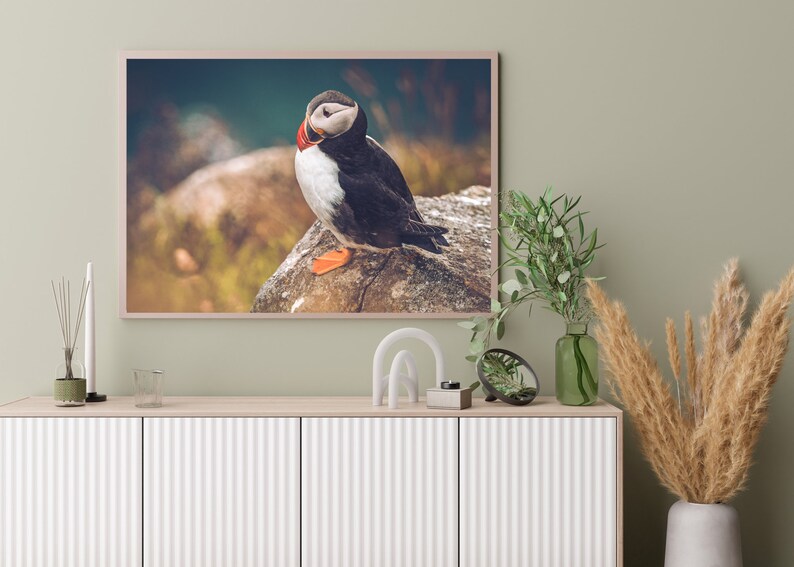 Puffin Wall Art, Puffin Art Print, Puffin Gifts, Puffin Illustration, Puffin Watercolor, Coastal Wall Art, Puffin Bird Art, Puffin Bird image 5