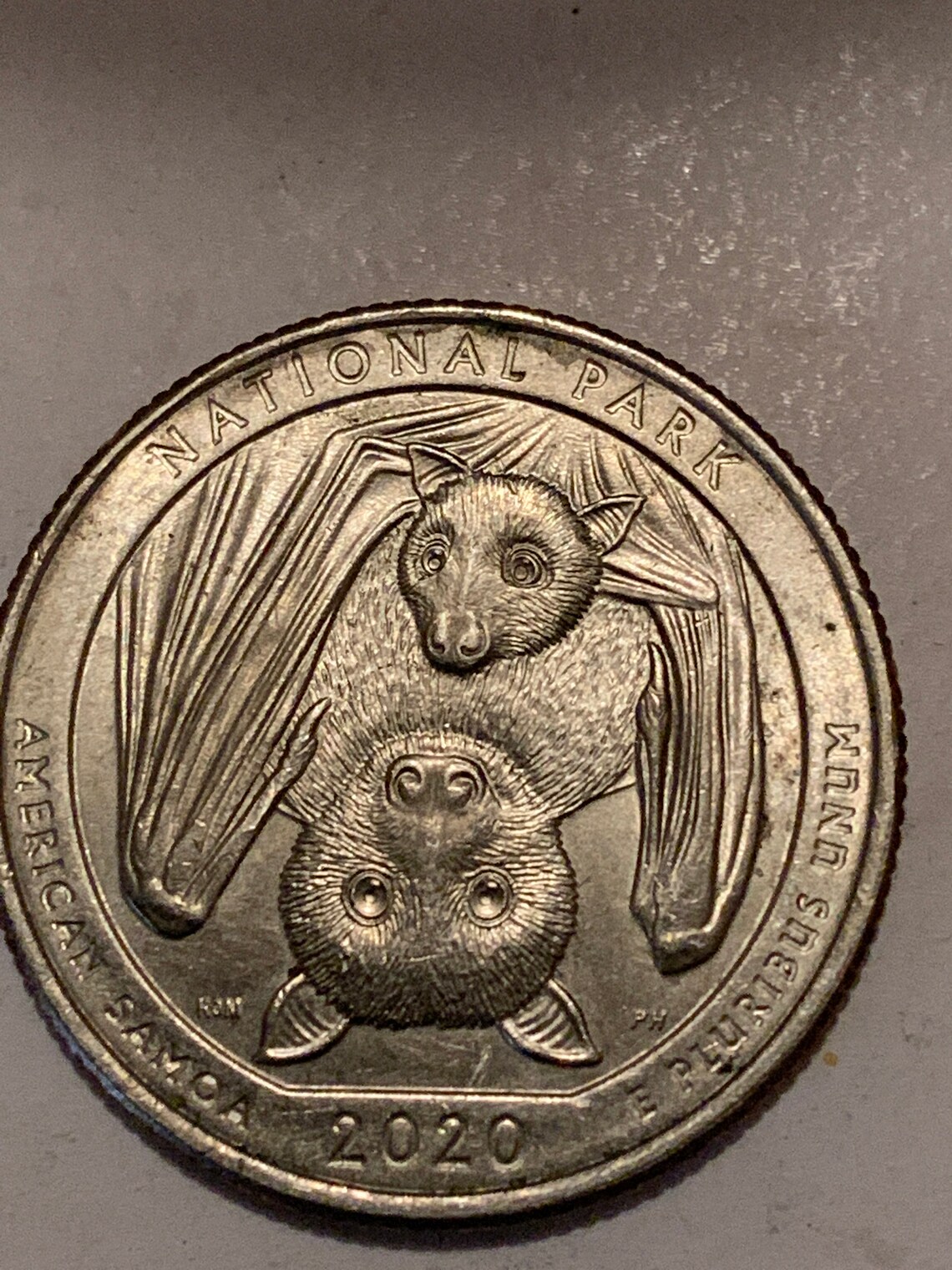 2020 Bat Error quarter Etsy