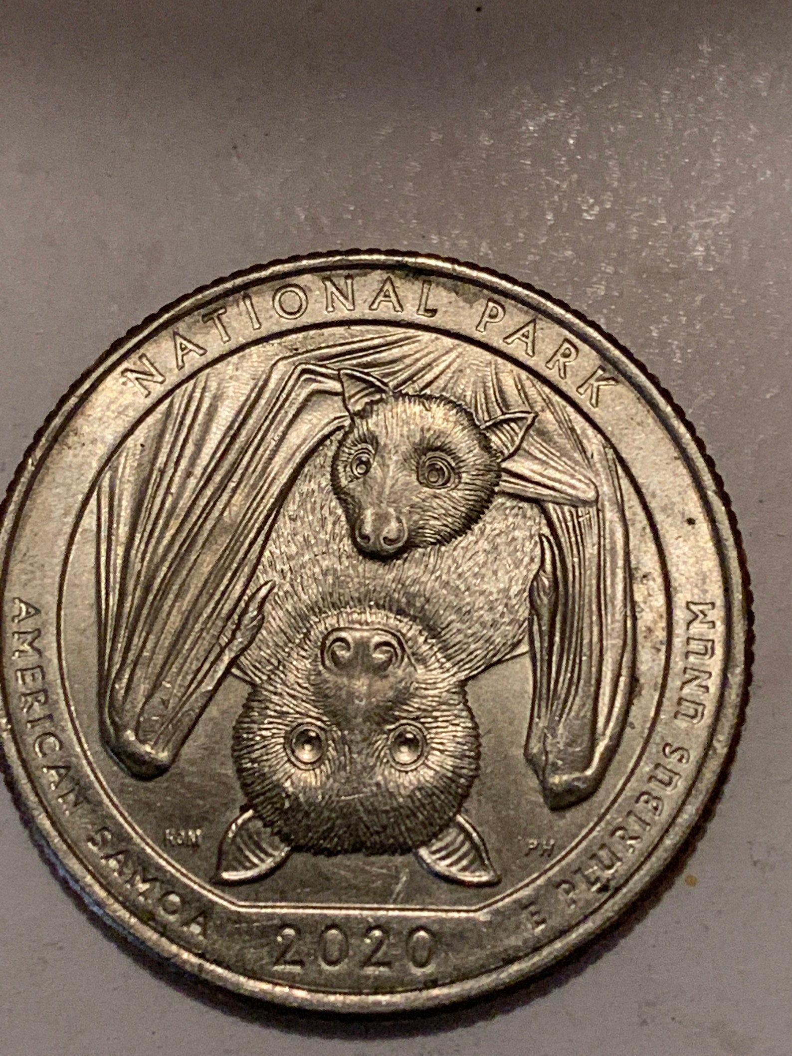 2020 Bat Error quarter Etsy