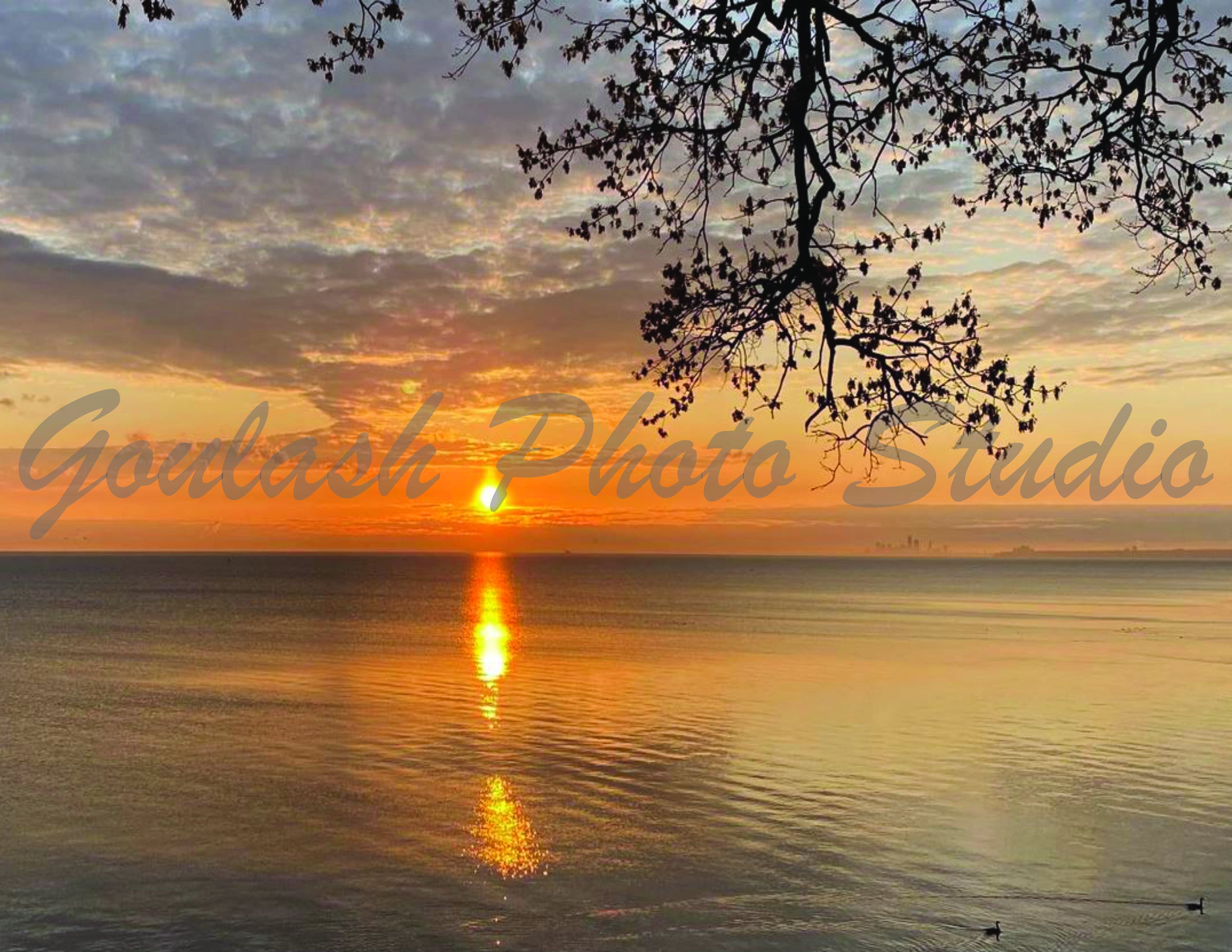 Golden Sunrise Wall Art Calm Peaceful Lake Erie Sunrise Etsy