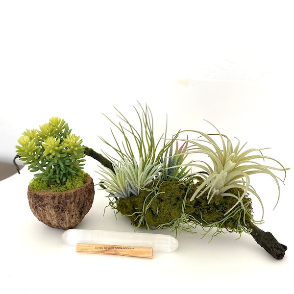 Faux Air Plant Etsy UK