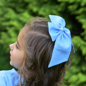 Peut inclure: Un nœud de cheveux bleu clair est attaché sur le côté de la tête d'une personne aux cheveux bouclés bruns. La personne porte une chemise bleu clair. L'arrière-plan est un vert flou.