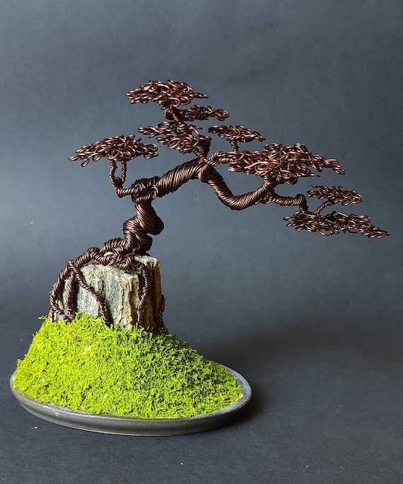 Filo Di Rame Filo Per Bonsai In Alluminio Anodizzato - 6mm X 19 Piedi - Marrone - Per Modellare Rami E Piante Kit Fai Da Te Piante - Foto 10