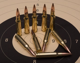 10 x Dekopatronen 308 Winchester / 7,62 x 51