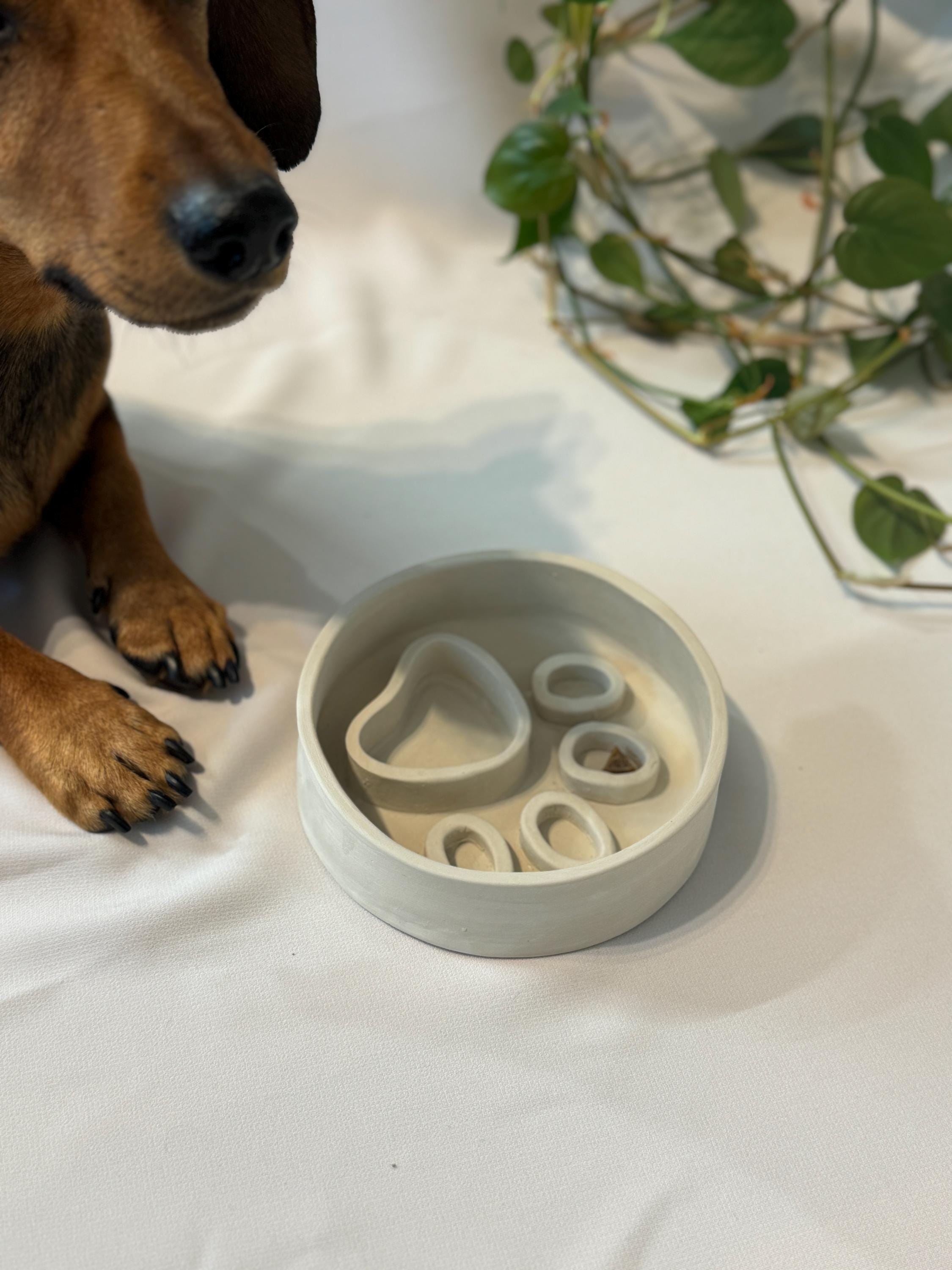 Slow Feeder Pet Bowl - Slab Pottery Template - Etsy