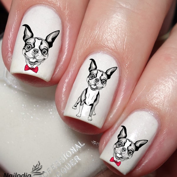 Boston Terrier Dog Puppy Nail Art Decal Sticker