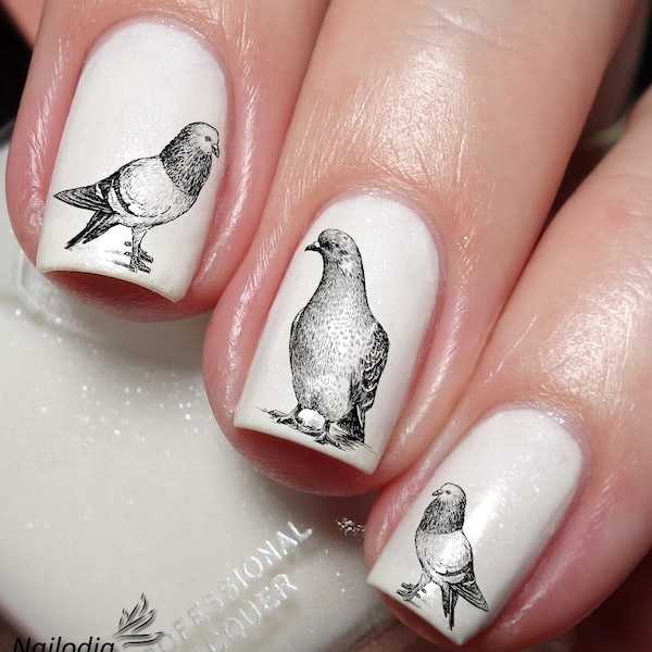 Pigeon Dove amoureux Nail Art Decal Sticker