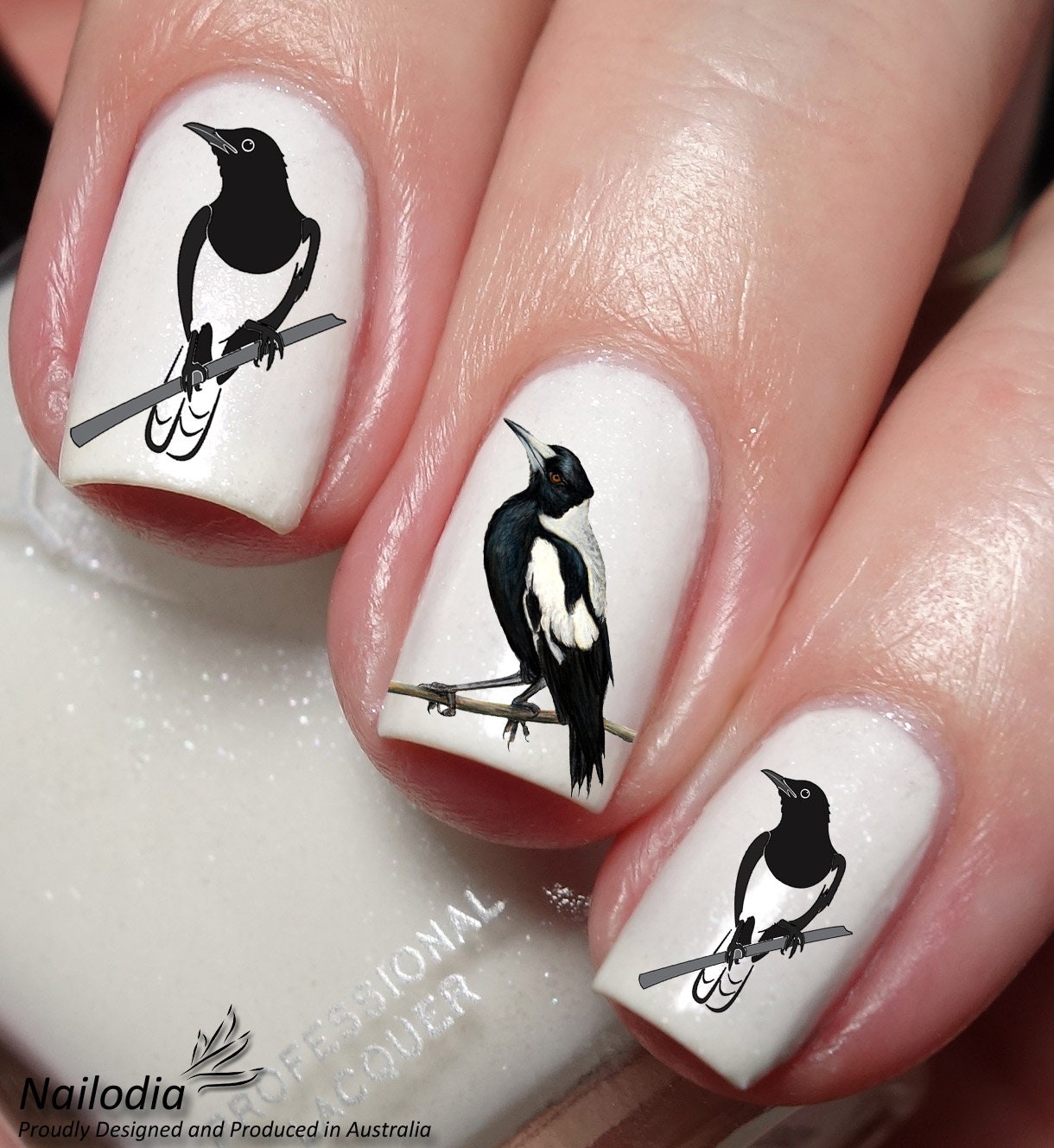Magpie Nail Art Decal Sticker