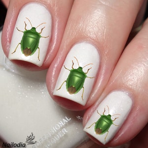 Beetle Bug Insect Nail Art Decal Sticker