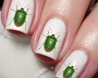 Beetle Bug Insect Nail Art Decal Sticker