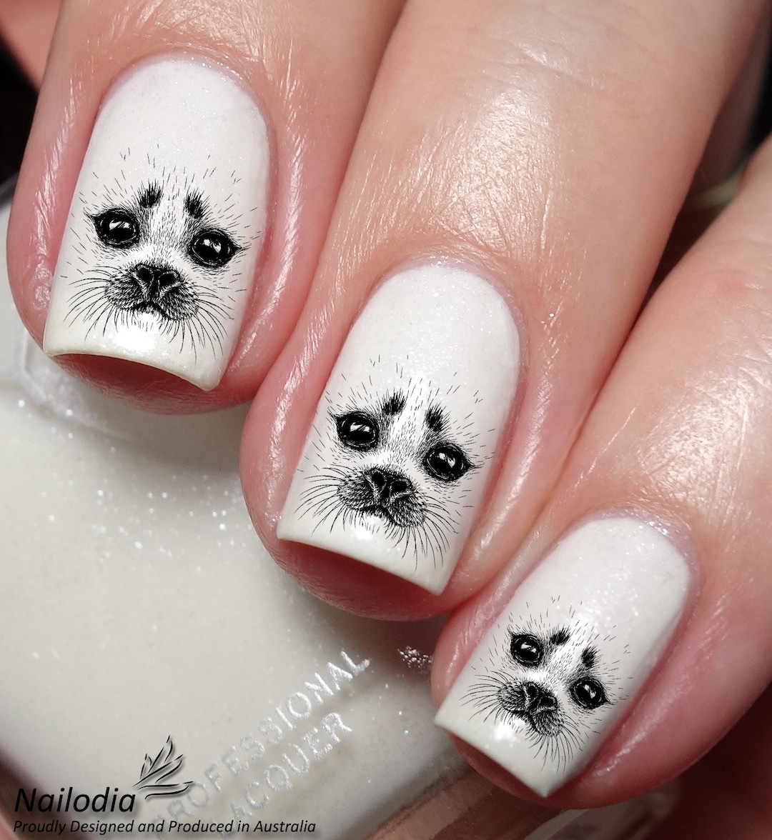 Cute Baby Seal Nail Art Decal Sticker Etsy