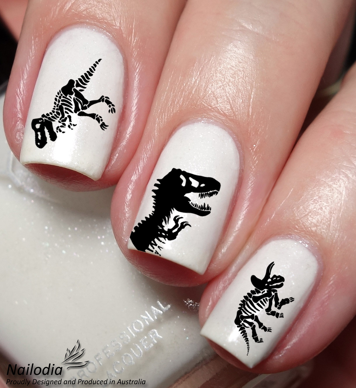 Dinosaur Trex Skeleton Nail Art Decal Sticker Etsy Australia
