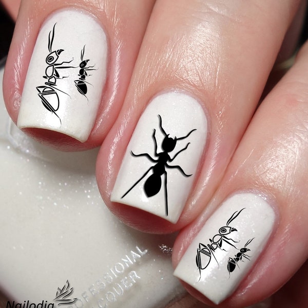 Ant Nail Art Decal Sticker