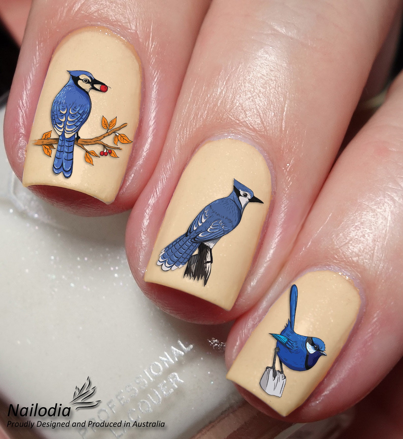 Bird Nail Art Water Transfer Decal Wrap Sticker Etsy