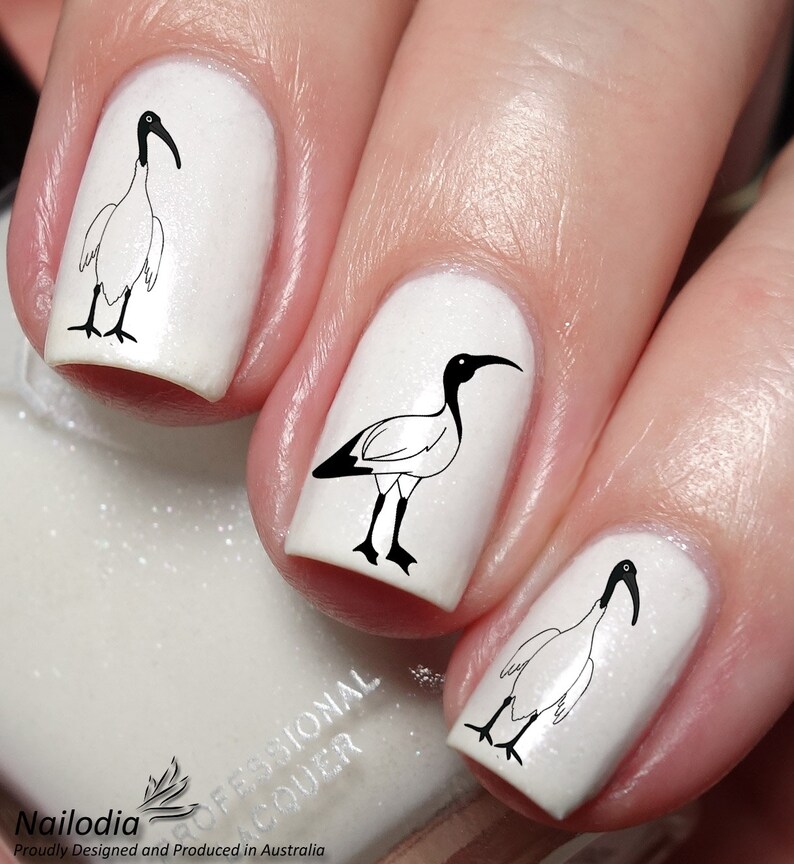 May include: White nail polish with black ibis bird nail art decals. The decals are on four fingernails. The nail polish bottle is visible in the bottom left corner of the image.