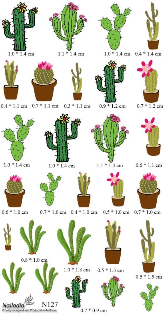 kentia-palme kaufen Howea forsteriana  Kentiapalm  olika storlekar  frn 21 cm kruka
