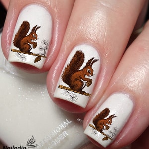 Squirrel Lovers Nail Art Decal Sticker