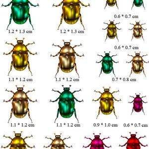 Stickersticker Beetle Bug Nail Art afbeelding 2