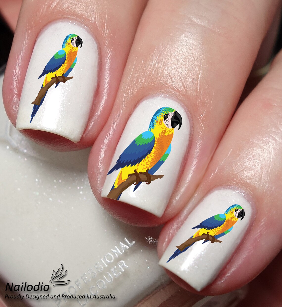 Parrot & Macaw Lovers Nail Art Decal Sticker - Etsy