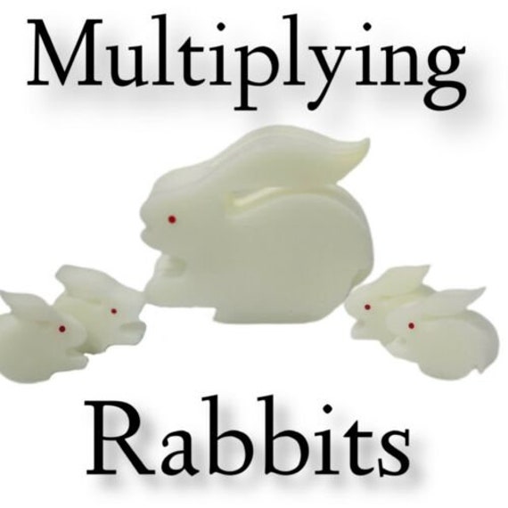 3D WHITE Sponge MULTIPLYING RABBITS 4 Small & 1 Large Close Up Etsy