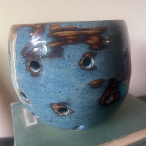 Orchid pot
