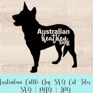 Australian Cattle Dog SVG | PNG | JPG | Australian Heathen Dog | Digital Decal Design