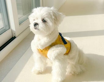 Hanbok, gilet tradizionale coreano Baeja, costume invernale per cuccioli in pelliccia sintetica, piccoli animali domestici