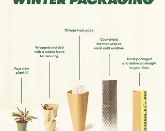 Winter Packaging