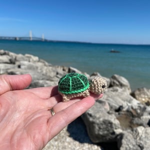 May include: A small, handmade crochet turtle with a green shell and tan body. The turtle is held in a person's hand, with a background of rocks, water, and a blue sky. The turtle is a cute, whimsical item.
