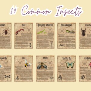 Insect Ritual Card Insect Totem Grimoire Pages: Spirit Animal Printable Inserts (digital ...