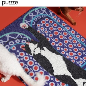 Litter locker cat mat online