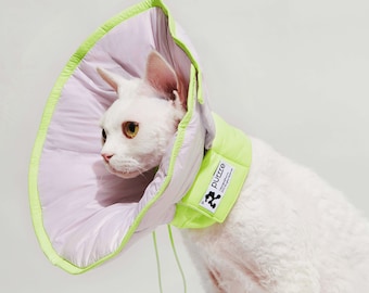 R3 Elizabethan Collar | Recovery Collar | Elizabethan Cone