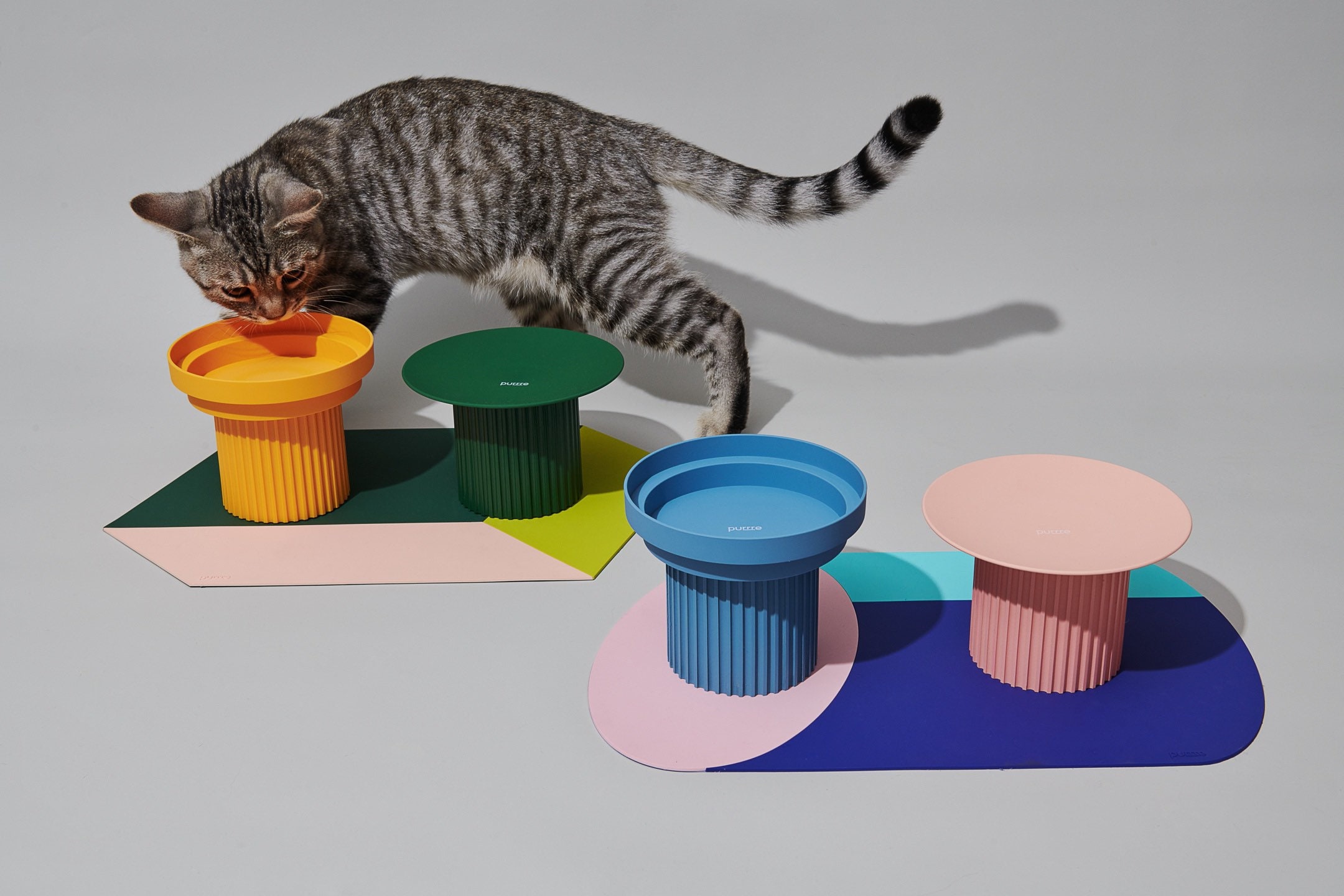 best cat bowls to prevent vomiting