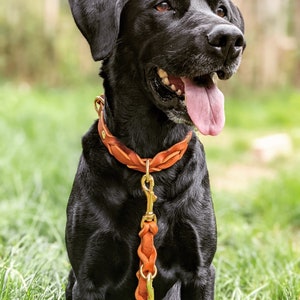 Grease leather collar braided cognac