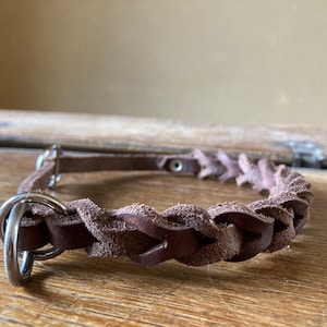 Könnte beinhalten: Ein braunes Lederhundekragen mit geflochtenem Design und silbernen Metallbeschlägen.