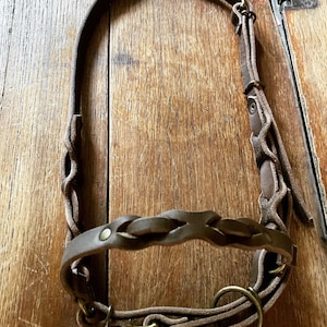 Könnte beinhalten: Ein braunes Lederhalfter mit geflochtenem Design und Messingbeschlägen.