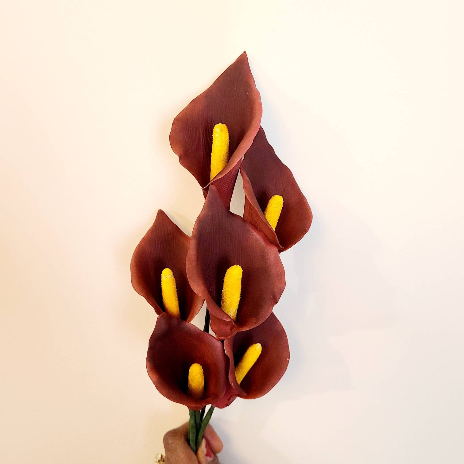 SUGAR CALLA LILIES Etsy Canada