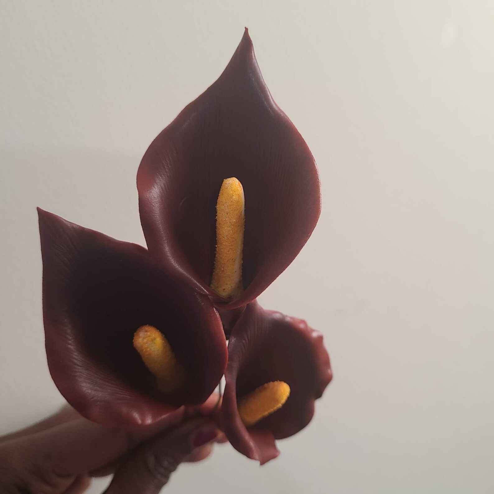 SUGAR CALLA LILIES Etsy Canada