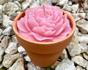 Peony Candle- Pink Flower Candle- Pink Peony- Soy Wax Candle- Terracotta Pot Candle-Peony Scent- Peony Flower Candle-Fake Peony on Candle