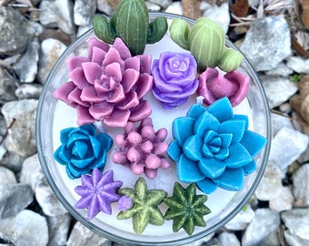 Succulent Candle- Plant Candle Gift- Cactus Succulent Terrarium- Succulent Arrangement-22oz Soy Candle- Green & Pink Succulents-Gift for Her