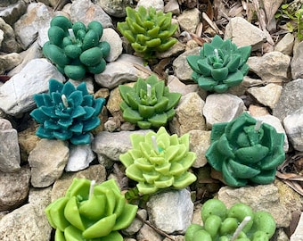 Floating Candles- Green Succulent Shaped Candles- Floating Candle Cactus Succulents -Plant Gift-Small Green Succulents & Cacti- Soy Wax