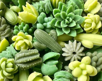 Succulent Wax Melts- Shaped Wax Pieces- Succulents & Cacti- Cute Wax Melt For Warmer- Soy Wax Succulents- Scented Wax Pieces-Mini Succulents