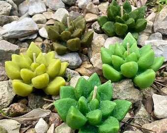 Floating Succulent Candles- Green Succulent Candles-Succulent Shaped Floating Candles-Soy Wax Flower Candle- Mini Succulents Made of Soy Wax
