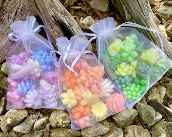 3 PACK Succulent Wax Melts-Shaped Soy Wax Melts- Mini Succulents & Cacti-Cute Floral Wax Melts-Wax Melt Bundle-Scented Soy Wax Pieces